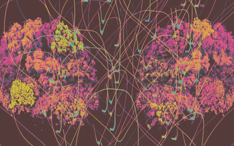 Psychedelics & Neuroplasticity: Unlocking the Healing Brain