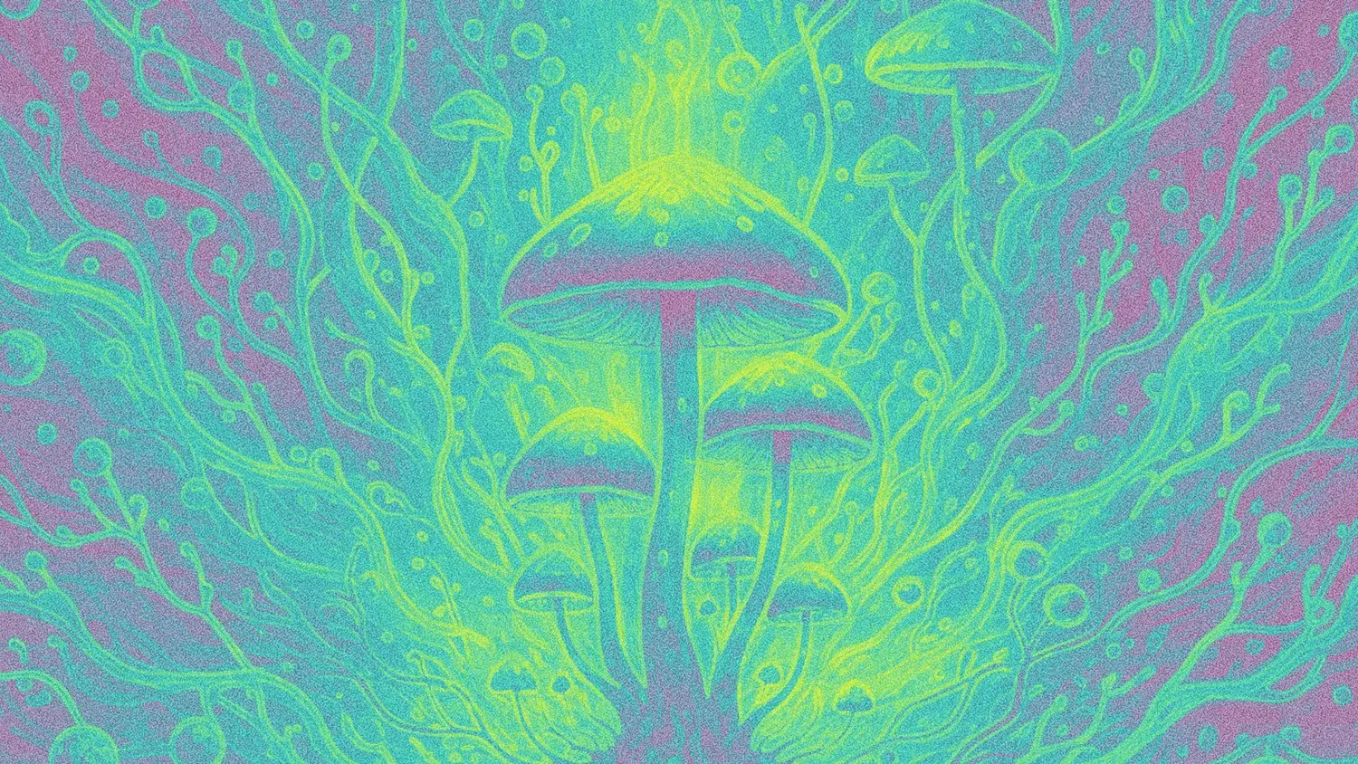 Microdosing: What We're Hearing on the Fireside Support Line